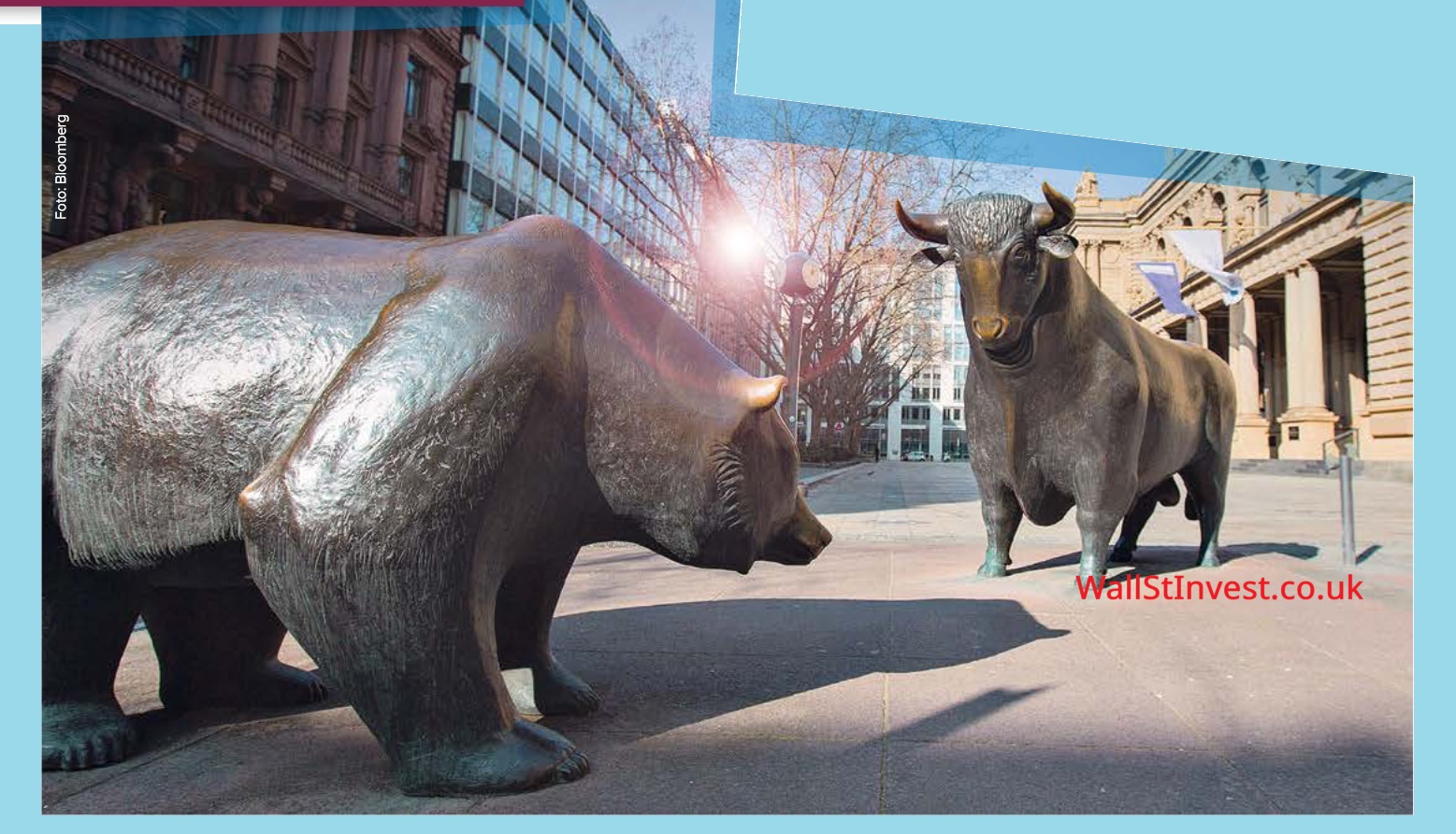 Bull Bear German